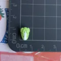 Dettaglio cabochon cavolo in resina miniatura, ideale per decorazione unghie e fai da te. - Modello di Cavolo Cinese