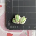 Gros plan du pendentif pistache en résine, détail de la taille sur tapis quadrillé, accessoire DIY. - Pistache