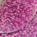 DIY polymer clay cat paw beads mixed crystal pearl loose beads for slime making jewelry crafts - 20g Pack / Rose Red Mixed Cat Claw Bubble Beads