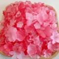 DIY resin charms mix pink frosted rose butterfly bow for phone case crafting supplies - 50 g / Frosted Red Series