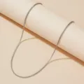 Gedetailleerde weergave van een minimalistische zilveren vossenstaartketting van staal - Zilver