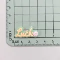 Transparent jelly color resin letter Luck charm detail view for DIY phone case and accessories. - Luck (Word Plate) / 1 Piece
