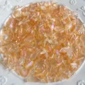 Breloques en résine coquillage étoile de mer océan pour bijoux étui de téléphone DIY - Série Orange Transparente Océan