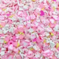 Tranches pâte polymère fruits mignons breloques slime nail art cabochons accessoires DIY. - Rose Style Mixte