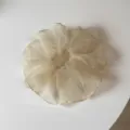 Vista detallada de un coletero beige transparente y esponjoso para peinados diarios. - Cuadros Amarillos