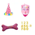 Pink pet birthday set featuring star hat, cake bandana, bone toy and gold numbers - Set / Pink