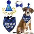 Blue plaid pet birthday set with sequin hat, bowtie and Birthday Boy bandana - Blue Set