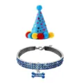 Blue pet birthday party set featuring a star pattern hat and rhinestone collar with bone charm - Bone 2-Piece Set / Blue