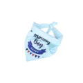 Light blue pet birthday bandana with Happy Birthday Boy print and festive banner design - Blue Plaid Birthday Boy Bandana
