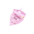 Close-up of a pink pet birthday bandana featuring Birthday Girl and Happy text print - Pink Plaid Birthday Girl Bandana