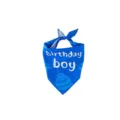 Blue dog birthday bandana with 'Birthday Boy' white lettering and cake graphic print - Bib