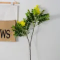 Branche de fleurs de cassia jaunes artificielles plante verte pour déco maison - Branche unique de sophora jaune