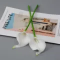 Kunstmatig mini PU calla lelie bloem voor huisdecoratie en bruidsfotografie, wit. - Calla lelie - Wit met wit hart