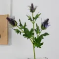 Artificial Eryngium flower branch fake plant for Nordic home decor wedding bouquet 1pc - Purple Grey