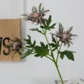 Artificial Eryngium flower fake plant Nordic home decor wedding photography bouquet - Fuschia