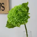 Artificial green hydrangea flower stem in glass vase for home wedding table decoration. - Dark Green
