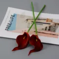 Fleurs artificielles mini arum calla en PU pour décoration de mariage maison accessoires photo. - Lys calla - Bordeaux