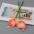 Kunstmatige Calla Lelie Bloem Variant, Roze Gradient PU Materiaal voor Huisdecor & Bruiloft. - Calla lelie - Koraal