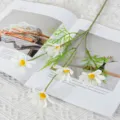 5-head artificial daisy flowers simulation plant for home wedding party photography decoration props. - White