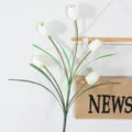 Flores de tulipán blanco artificial con tallos largos, perfectas para decoración del hogar. - Blanco