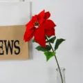 Artificial Christmas Poinsettia Velvet Flower Single Stem Fake Floral Home Wedding Decor - Single Stem / Single Stem - Red