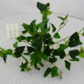 Artificial ivy vine green plant for living room wall decoration and home aesthetic interior display. - Single Stem Dieffenbachia