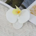 Artificial Phalaenopsis orchid flower head for wedding DIY craft floral decoration. - Small (Film) / White