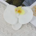 White artificial orchid flower head, faux phalaenopsis for DIY crafts and wedding decoration. - Medium (Film) / White
