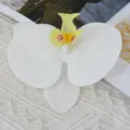 Artificial White Phalaenopsis Orchid Flower Head for DIY Wedding Gift Box Decoration SKU - Large (Film) / White