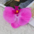 Purple artificial phalaenopsis orchid flower head for DIY crafts, wedding decoration and gifts. - Large (Film) / Light Purple