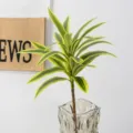 Artificial dracaena plant fake green foliage potted in clear glass vase home decor - Single Stem Golden-Edged Dracaena