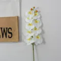 High quality artificial phalaenopsis orchid branch 9 heads white fake flower home decor - 9-Head / White
