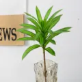 Artificial lily bamboo plant branch simulation green leaves home decor floral arrangement. - Single Stem Green Dracaena