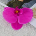 Artificial Phalaenopsis orchid flower head for wedding decoration and DIY handmade crafts. - Large (Film) / Deep purple