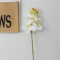 Artificial white phalaenopsis orchid single stem fake flower for home decoration display. - 5 Heads / White