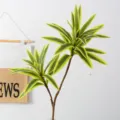 Artificial variegated Dracaena plant branch, realistic green foliage for home decor. - 2-Prong Golden-Edged Dracaena