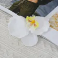 Artificial Phalaenopsis Orchid Flower Head White Fake Flowers Wedding DIY Decor - Small (Cloth) / White