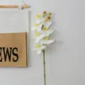 High quality artificial 9-head Phalaenopsis orchid flower branch for home decoration table centerpiece. - 7 Heads / White
