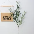 Rama de olivo artificial para decoración del hogar, hojas verdes realistas para arreglos - Rama larga flocada de 4 horquillas sin fruto (100 cm)