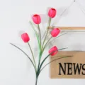 Flor artificial de tulipán de rama larga con 5 cabezas variante, ideal para decoración del hogar. - Rosa rojo