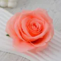Artificial silk rose flower head peach pink DIY wedding home decor craft floral supply - Coral Pink