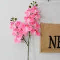 3D touch artificial phalaenopsis orchid branch pink flower for home decor wedding arrangement - 2-Stem Light Pink Flower - 12-Head