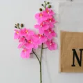 Artificial pink phalaenopsis orchid flower branch for home decor, wedding arrangement SKU - 2-Stem Dark Pink Flower - 12-Head