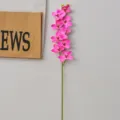 Stelo di fiore di orchidea artificiale a 9 teste, phalaenopsis rosa per decorazioni nozze. - Cymbidium 9 Teste Viola