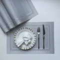Detailed view of silver PVC woven placemat set, showing textured table mat design in use. - Silver 1 Double Frame