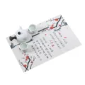 Chinees stijl PVC placemat met inkt pruimenbloesem print, elegante hittebestendige mat. - 45x30cm / Bruisende lente