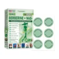 Berberine NAD+ Gesundheits-Pflaster, 10-in-1 Stoffwechsel- und Körperpflege-Pflasterset. - 6 Stück / Grün