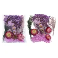 Dried flowers preserved real plant specimens for DIY handmade craft photo frame decor! - Fixed Purple Style
