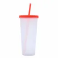 Frosted double-layer plastic straw cup summer cold drink portable tumbler with lid - Orange