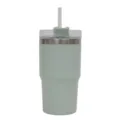 Stainless steel insulated tumbler with straw and lid portable travel cup for daily use - 450ml / Light Green